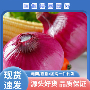 ��Ƥ���[�F�����r���[�^�tƤ�A�[СԪ�[�߲����[�^һ�����lȫ��