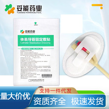 ����ș�I�w�팧�̶ܹ��N����������܌��ܶ�Ҏ��θ���z��C-01��