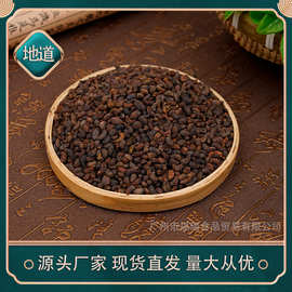 女贞子批发 产地大货生女贞子冬青子籽 鸡腰形女贞子