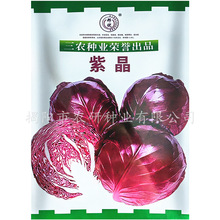 �̃��Ͼ����{�N�� �ϼt���{���˷N�� �s����ɫ���Ĳ��ѷN��500��