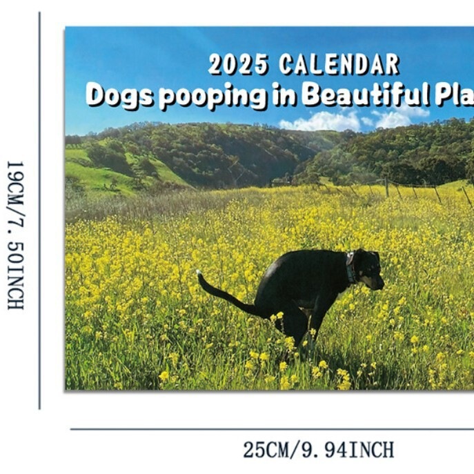 2026年犬のうんちカレンダー 猫カレンダー Dogs Pooping Calendar|undefined
