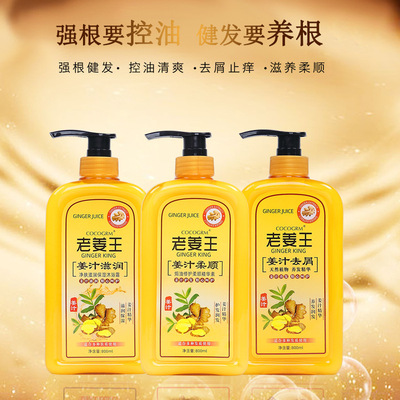 正品生姜洗发水 厂家批发无硅油温和滋养控油去屑止痒洗发露|ru