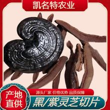 江西野生灵芝紫灵芝整朵泡酒煲汤不苦黑厂家产地直供有机药材中药