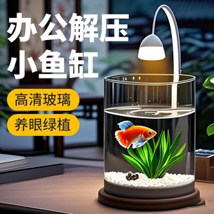[Free Shipping] Chong Xiaoshuai's New 2025 Internet Celebrity Ins Style Glass Rose Fish Tank Office Ecological Green Plant Copper Coin