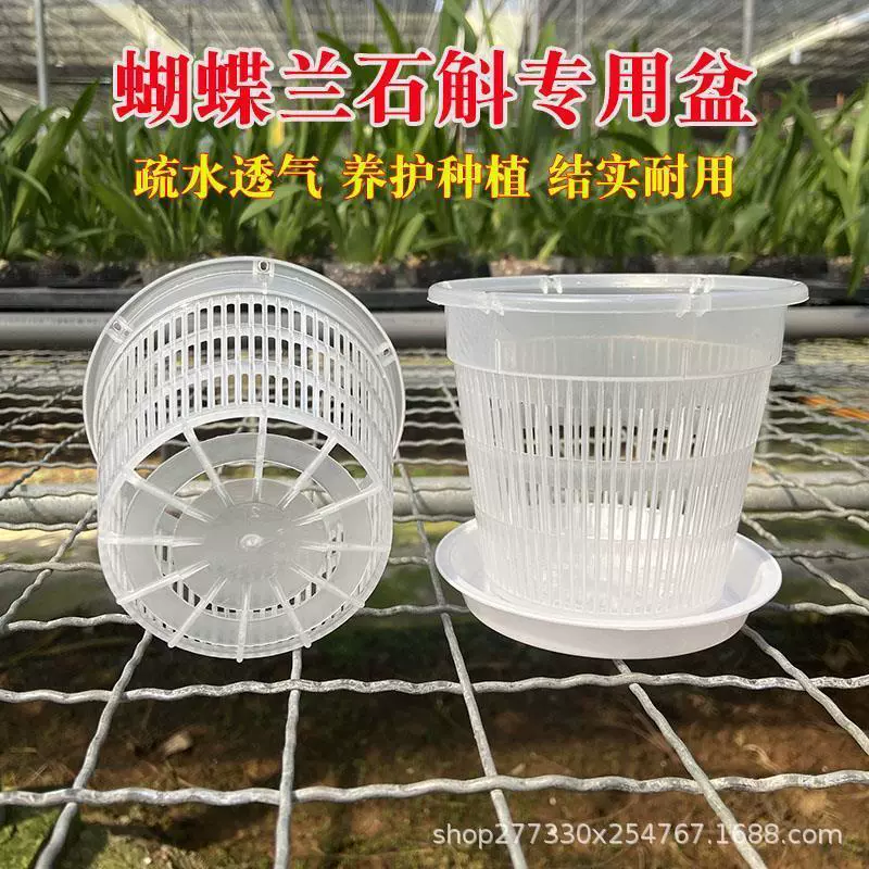 Цветочный горшок фаленопсиса Специальный цветочный горшок для фаленопсиса Дышащий набор Горшок для контроля корней Горшок для питания Чашка для рассады Цветочный горшок для орхидеи