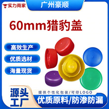 60mm�C���wͨ���͙C���w���S���l�F؛������������Ʒ�|�ɿ��ۺ�o