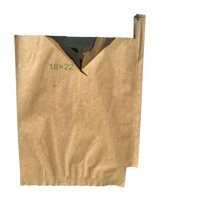 Pera a prueba de insectos, lluvia, mango, níspero, naranja, anti-granada, manzana, cítricos, pájaro, bolsa, melocotón, granada, bolsa de papel Ehime