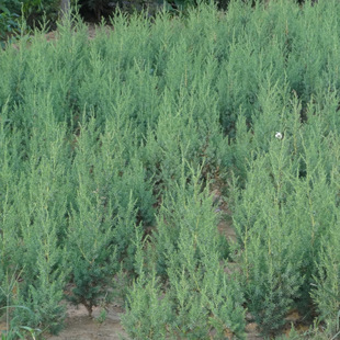 �ؘ̰��籱���u�ش��ɘ��玧���е�����G���ɰؘ��������صذ���