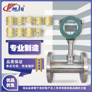 工厂定热式气体质量流量计插入式管道气体氮气氧气气体质量流量计