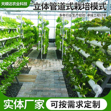 �F�������w�ܵ�ˮ��ģʽ �����߲˴�ֱ���Lϵ�y�ܵ�ʽ�o������