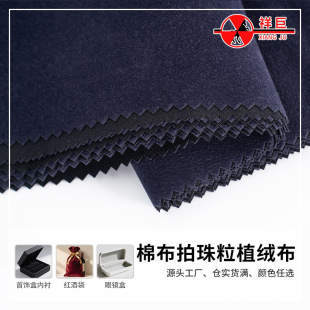 �޲���������ֲ�q���錚��Ѓ��r���w��M�����q������ֲ�q��