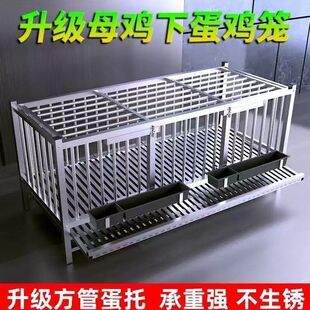 ���P��u�\���ӻ\���ӻ\���ӻ\С�u�\�Bֳ�\���������ش�̖���ֵ