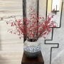 单支春节新年圣诞浆果