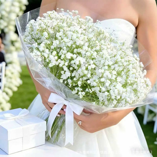 �羳�������M�������ϻ�������춻�Y���ܲ����Ɍ��bٻ��b�