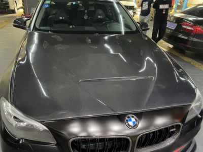 Spoiler decoration modification parts carbon - f10m5-gts-cover