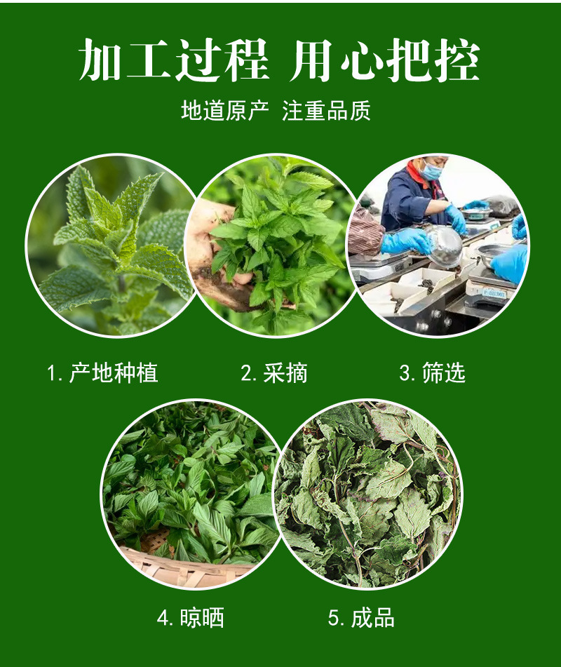 Mint Leaf Tea (Mentha haplocalyx) — Dried Food-Herb Mint for Cold Brew & Daily Infusions preparation