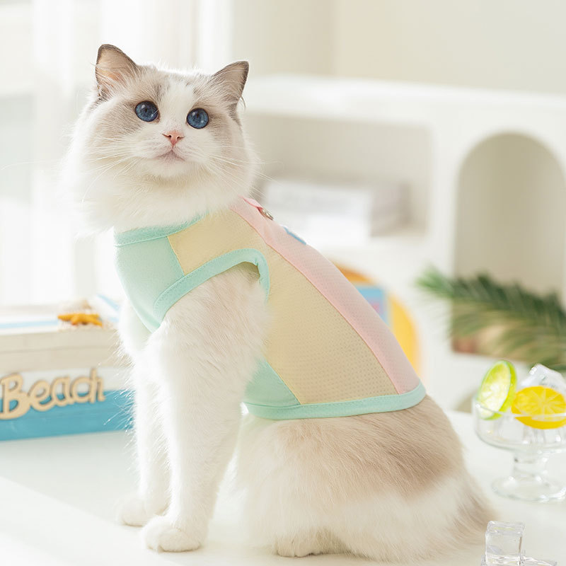 Cat primavera y verano macarons transpirables pequeña mariposa malla protector solar fresco gato mascota chaleco de tracción ropa para perros