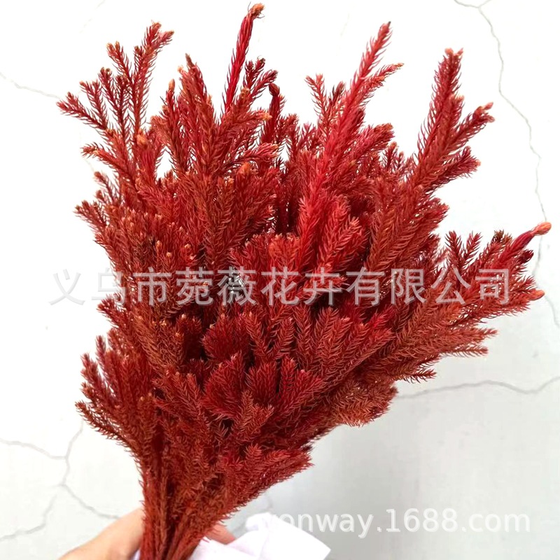 微信图片_20210118233350