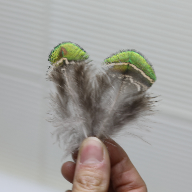 Plumas pequeñas al por mayor de plumas de faislo natural decorativas plumas artesanías bricolaje materiales hechos a mano divertidos accesorios de joyería de palo de gato