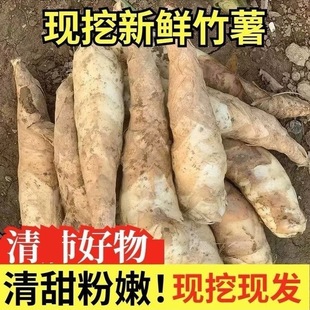 【网红新款】2025农家竹薯新鲜竹薯冬粉薯新鲜现挖竹芋苓薯批发-阿里巴巴