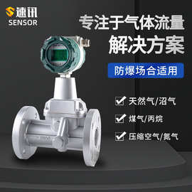 智能lux旋进旋涡流量计天然气计量流量表DN25沼氮气压缩空气防爆