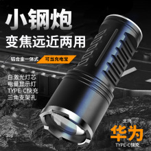 羳̏׼ͲXϽs{@ʾTYPE-C