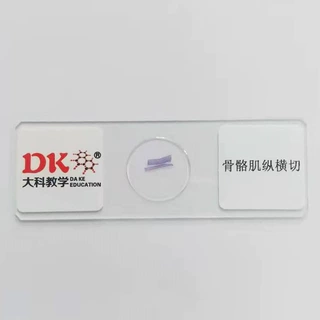 大科教学 骨骼肌纵横切 生物切片标本 中小学专用显微镜载玻片