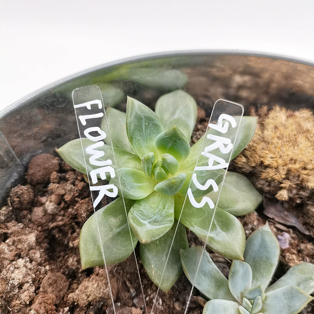 Трансграничная прозрачная акриловая садоводческая этикетка маркировка растения вывеска DIY пустой садовый овощной классификационный идентификационный знак