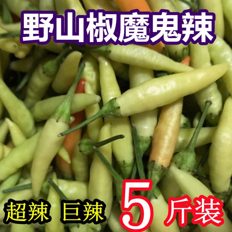 Fresh vegetables Wild salamanders Devil Chili peppers Henan specialty Red Hot Chili Peppers Duojiao Pickled pickled pepper