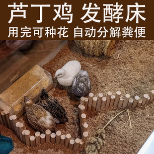 �J���u�|�ϰl�ʹ��u��|�ϰl�͔[���B�i�u���Z�B� ����|��