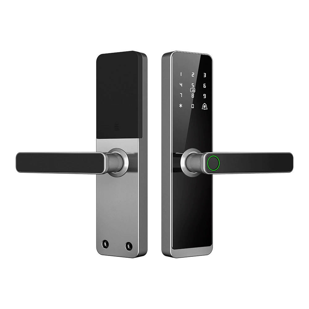 Интеллектуальный замок M9 TTLOCK для сдачи домов и мини-гостиниц, умный электронный отпечатковый замок для деревянной двери