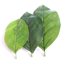 �����~ֲ���ɽ�Ř��~�辰���m�~��֦���ϭ���~�����~�Ĕz���l