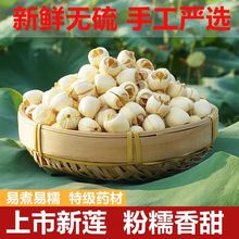 ɏȥоɏӸ؛ؼoɏrĥƤɏҰȥоɏl