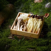 ��ū����߲����ķ�ľ���߲�ƴ�̾���ƴ����ľ���ӻ���;�