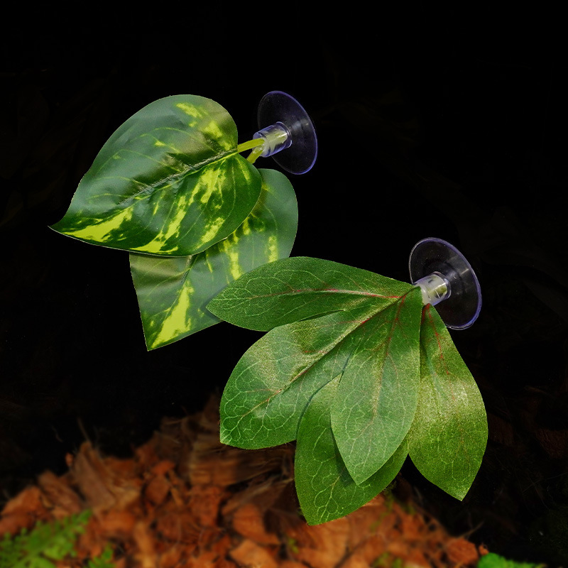 Nomo, una variedad de plantas de simulación de paisajismo decorativo, lagarto, camaleón, serpiente, reptil, agua, hojas con ventosa