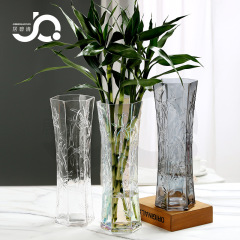 Oversized Retro Glass Vase, Desktop Ornament with Lucky Bamboo, Simple and Elegant Living Room Vase