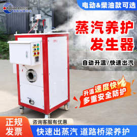 48KW燃油桥梁蒸汽养护器公路蒸养机厢梁混凝土电加热蒸汽发生器