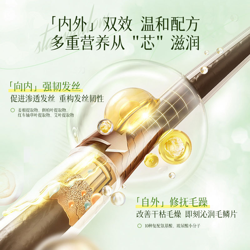 Star Window Sin aceite de silicona Té blanco Fragancia Champú de aminoácidos anticaspa Acondicionador ligero y esponjoso Mascarilla para el cabello