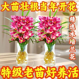 ˮ���m���ļ����B�m�����������҃���Gֲ�ͻ����B�x��������ȸ�{