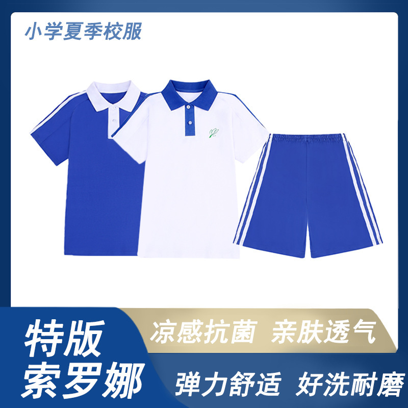 Shenzhen School Uniform Primary School Students Quick-Drying Cool Summer Clothing Solona Version Short-Sleeved Thin Pants Unified Sportswear School Uniform