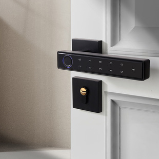 Indoor Home Wooden Door Smart Fingerprint Lock Graffiti Door Handle Office Study Bedroom Change Hole Free Split Lock