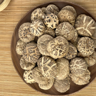 ������؛�����S�ݻ������㹽������؛Ģ�������������