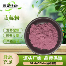 蓝莓果粉蓝莓浓缩粉蓝莓提取物蓝莓花青素蓝莓冻干粉食品级原料