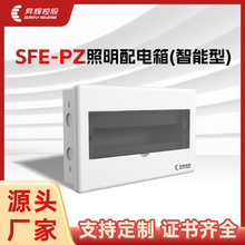 NxSFE-PZ՚_P͑Ȱb乤