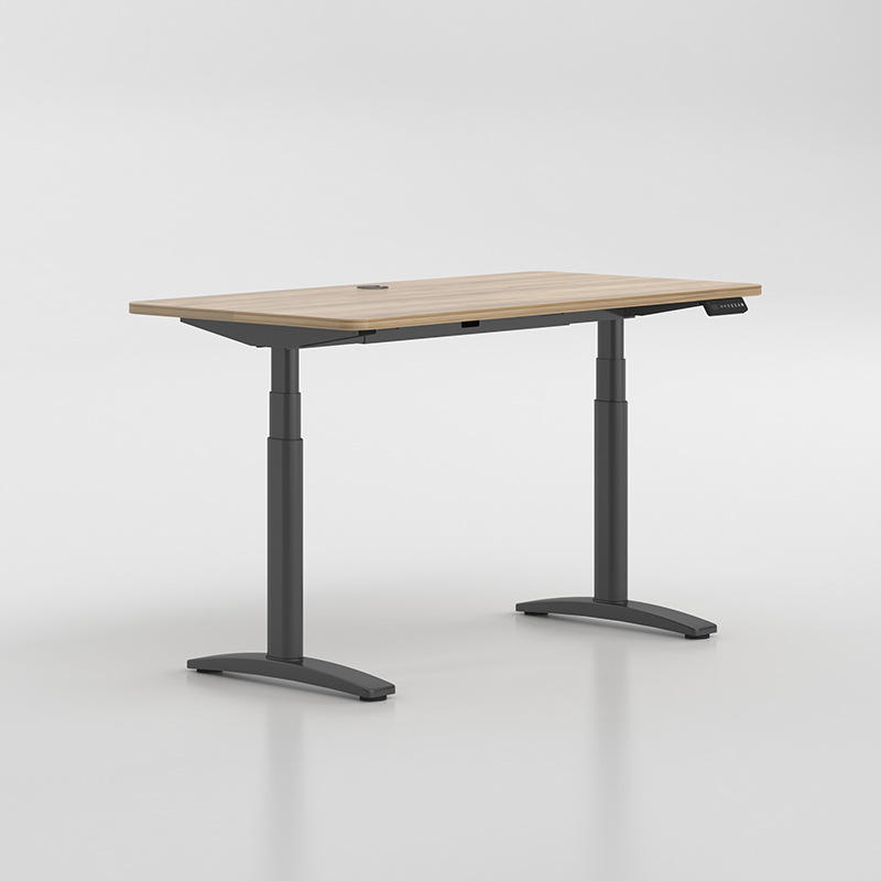 블랙 (더블 모터 3 다리)