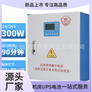 Type a emergency lighting centralized power supply box Type B fire EPS emergency power supply 36V centralized control lamps distribution power