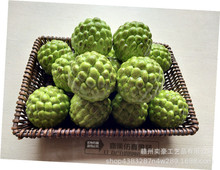 ���S���N�����ˮ���b�Ʒ�Ӱ巿����չʾ�Ĕz��ެ��֦��ȹ�ģ��