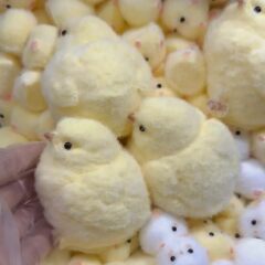 赤い本の同じタイプのひよこをつまんで雌鶏をつまんで黄色の鶏をつまみます。
