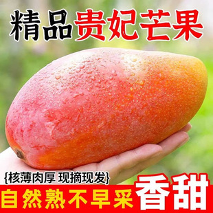 �����F��â���râ��������ˮ��������t����������â�������