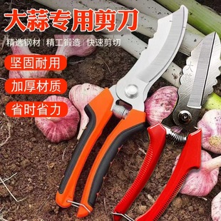 �¿���⌣�ü�������������^��������[�������[�r�ü���